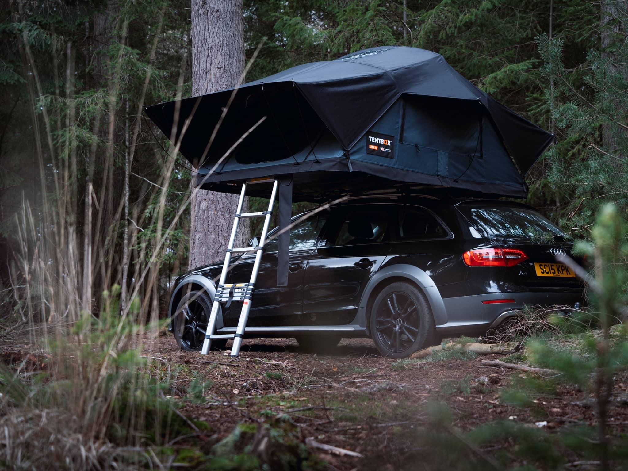 TentBox Lite XL in forest setting